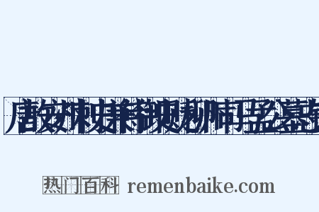 唐故安州刺史兼侍御史贬柳州司马孟公墓志铭是什么意思的图片